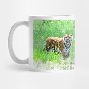 Bengal Tiger in Meadow Mug